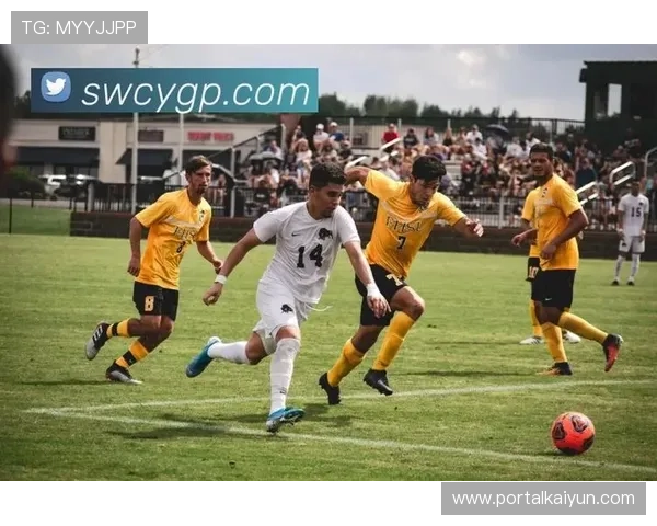 开云体育直播在线观看平台哪个好，高清流畅观看体育赛事指南